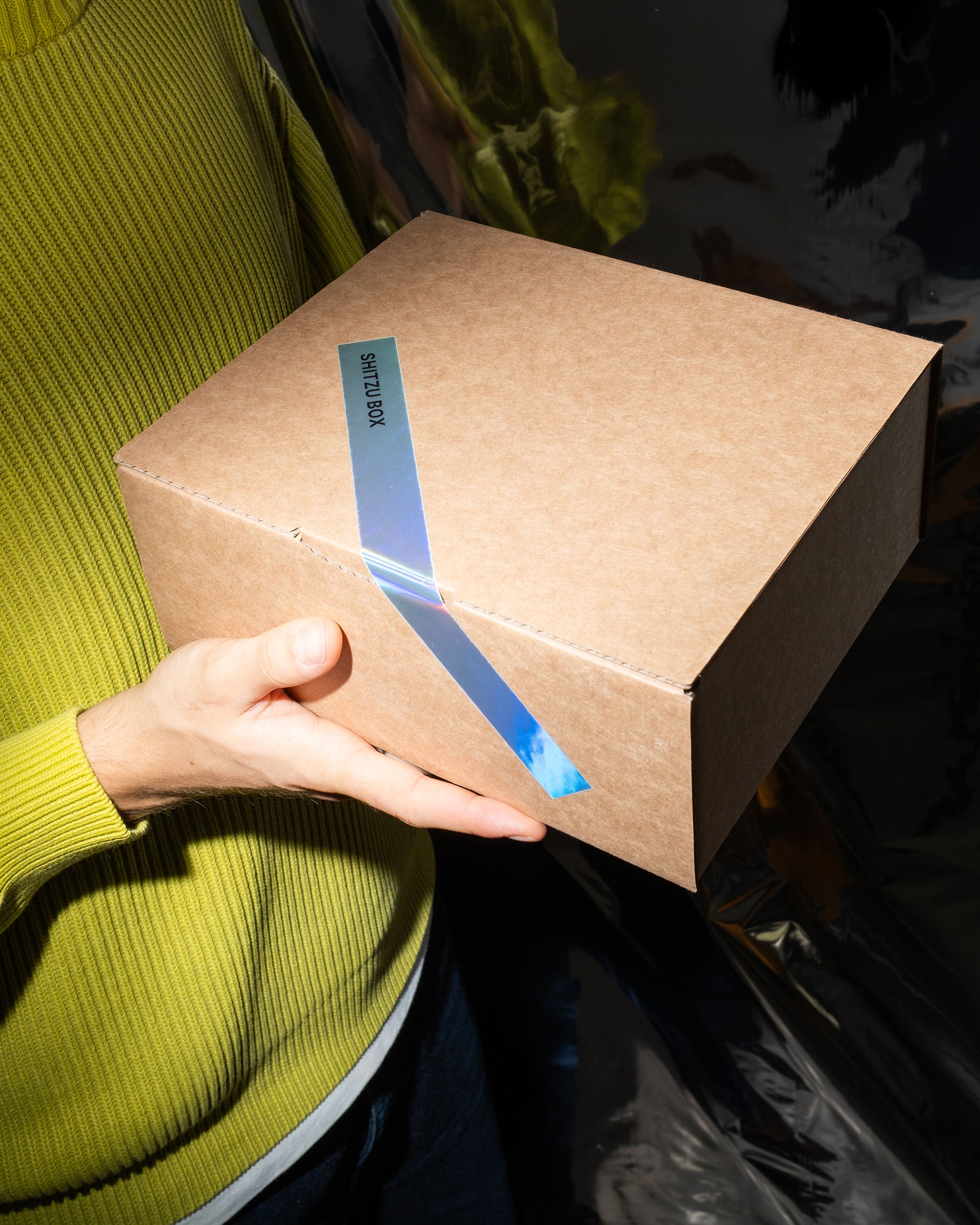 Shitzu Box Disco Edition