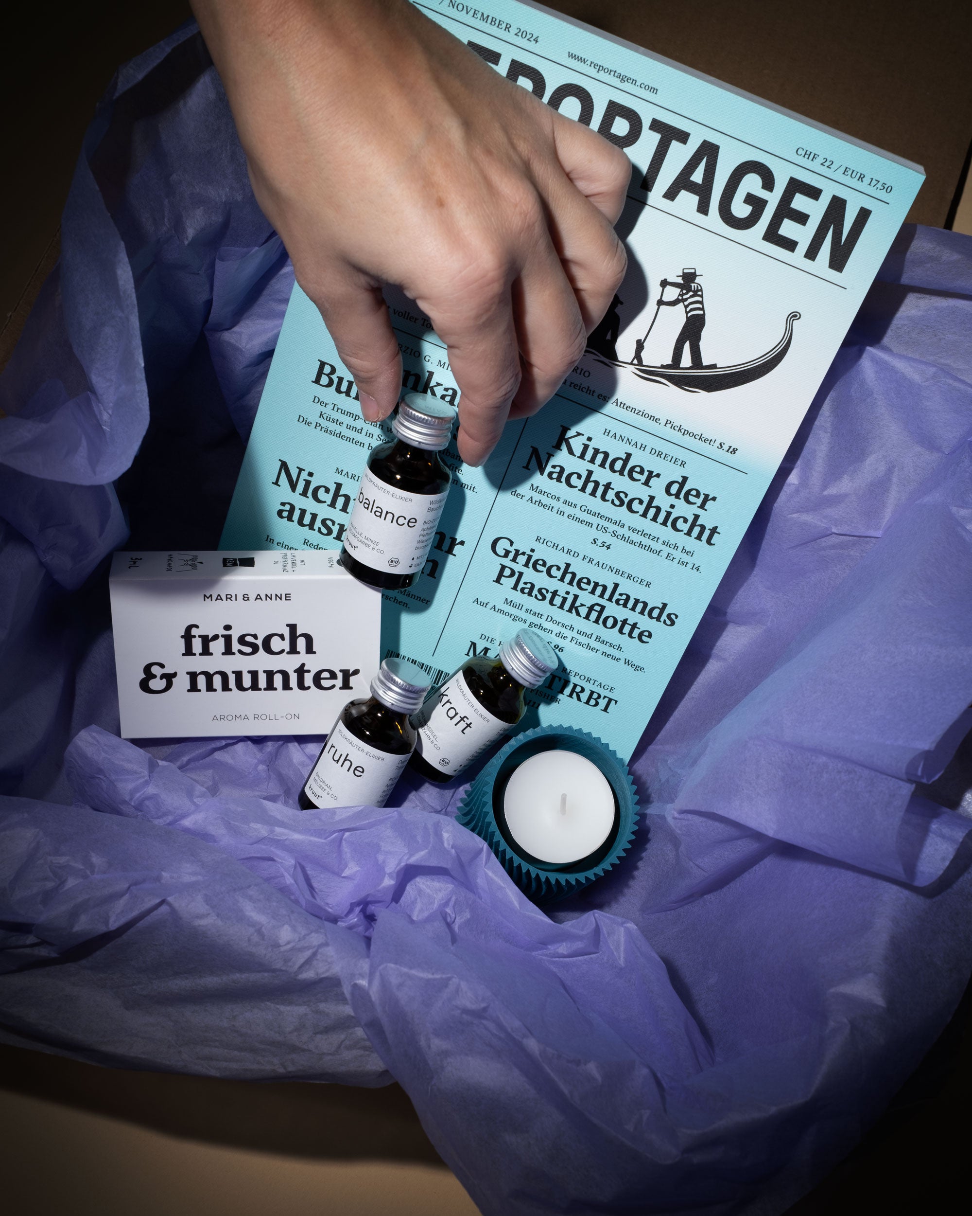 Shitzu Box «Reset»